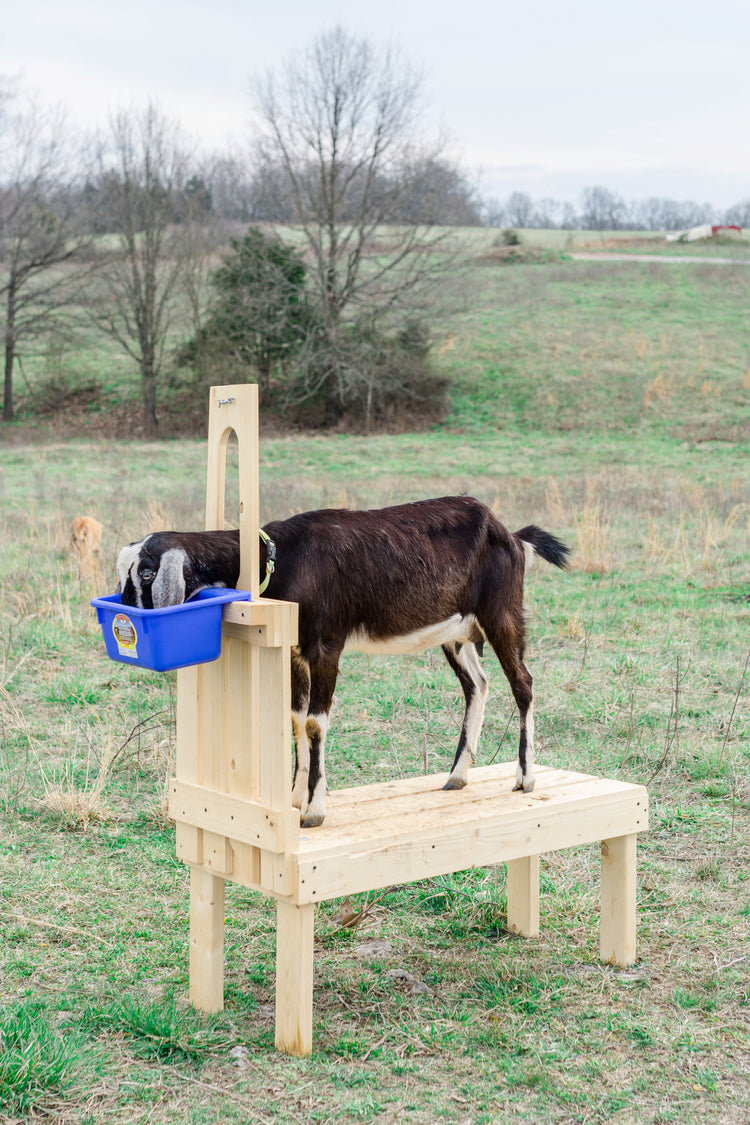 Custom Built Goat Stands | Goat Milking Stand – GoatStand